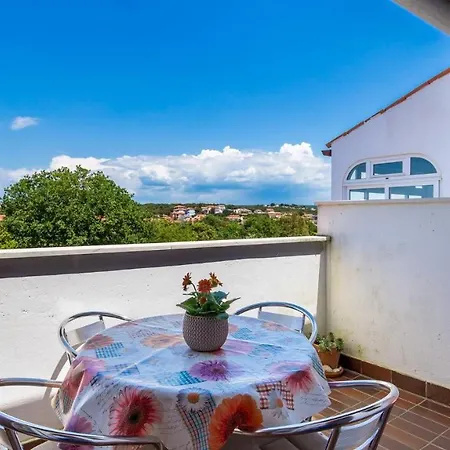 Rona Zdravko * ברבריגה