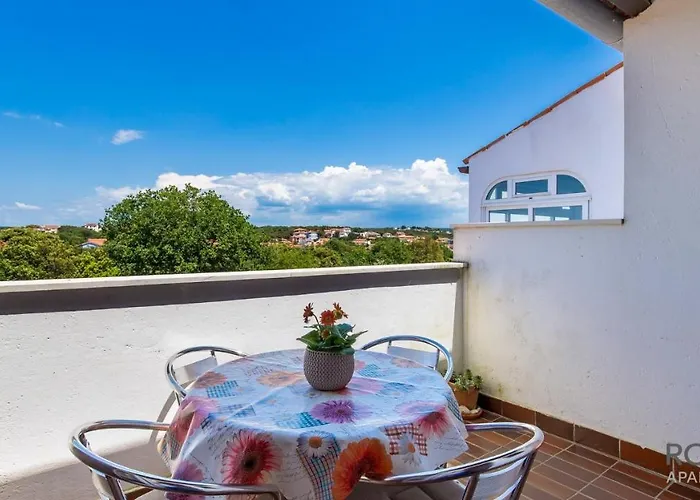 Zdravko * 바르바리가